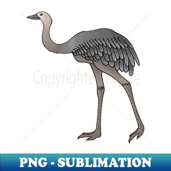 Svg Rhea Bird Greater rhea bird cartoon illustration - High-Quality PNG Su | Inspire ...