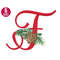 MR-25102023135217-christmas-alphabet-embroidery-design-f-letter-pine-cone-image-1.jpg