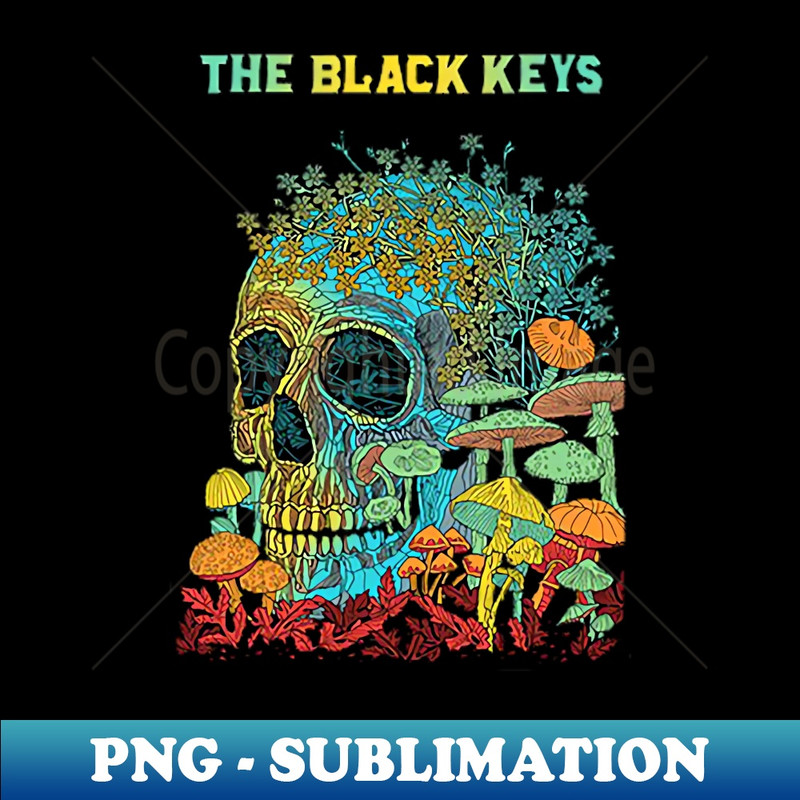 DU-20231025-9587_Vintage the black keys design 5967.jpg