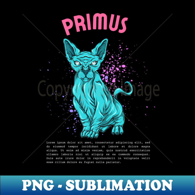 EH-20231025-6231_primus 2853.jpg