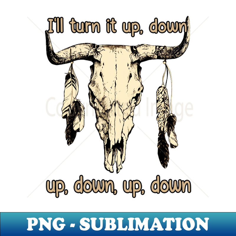 EO-20231025-4005_Ill Turn It Up Down Up Down Up Down Feathers Bull-Skull 7588.jpg