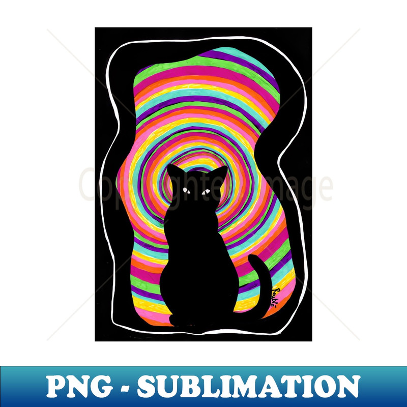 EZ-20231025-7739_the BLACK CAT 1242.jpg