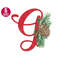 MR-25102023135842-christmas-alphabet-embroidery-design-g-letter-pine-cone-image-1.jpg