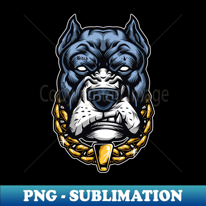 PN-20231025-7353_Street dog 4040.jpg