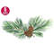 MR-25102023144814-pine-cone-pine-branch-embroidery-design-christmas-machine-image-1.jpg