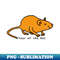 QE-20231025-10029_Year of the Rat Gold 3635.jpg