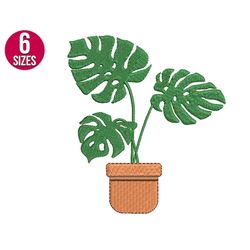 monstera embroidery design, house plant, machine embroidery file, instant download