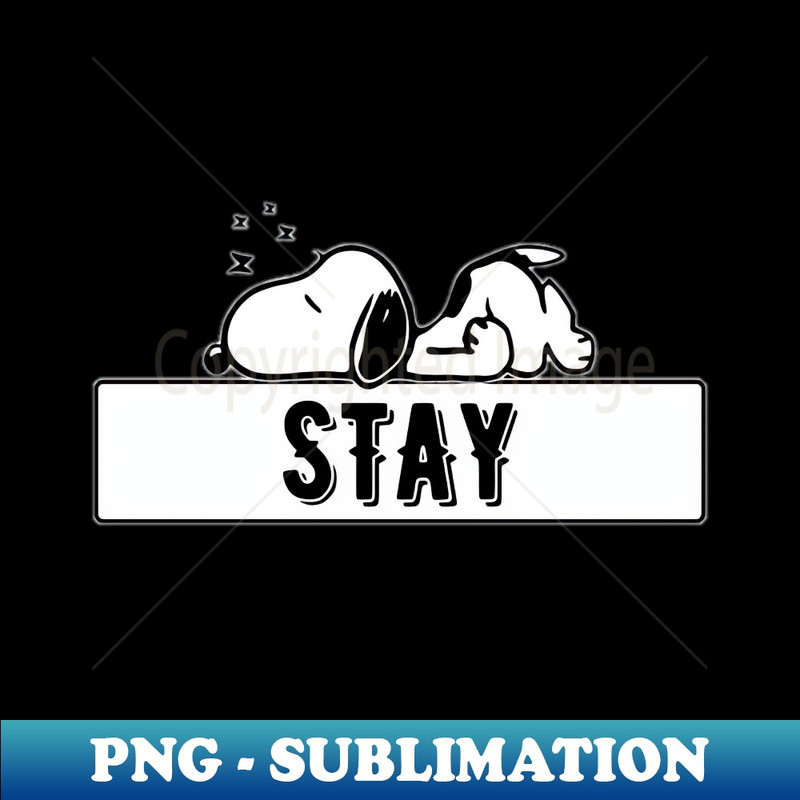 QP-20231025-7224_Stay 4107.jpg