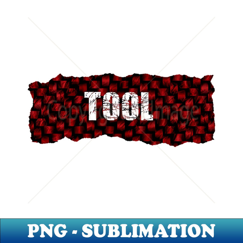 RD-20231025-9054_Tool Ripped Flannel 3119.jpg