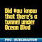 UU-20231025-2358_Did You Know That Theres a Tunnel Under Ocean Blvd 5729.jpg
