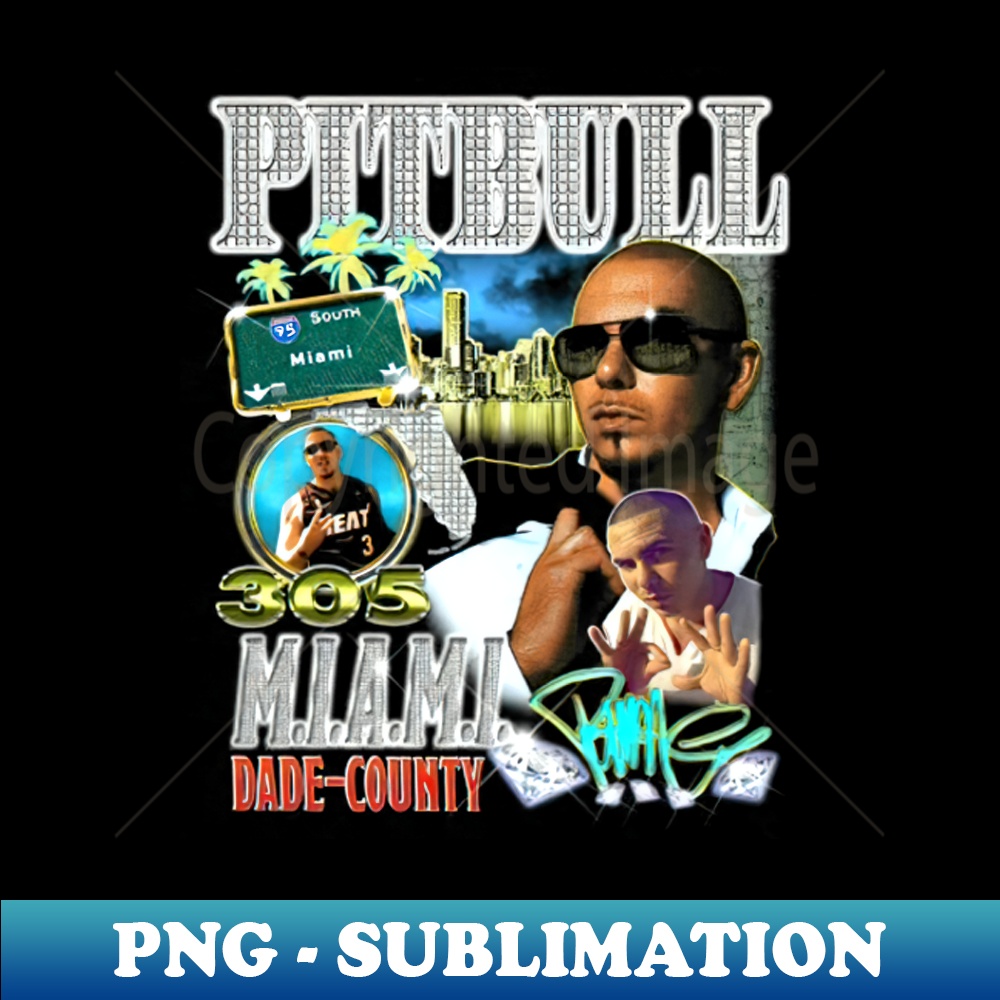 UU-20231025-6113_Pitbull  Mr Worldwide Retro  Mr 305 Pitbull Rap 9476.jpg
