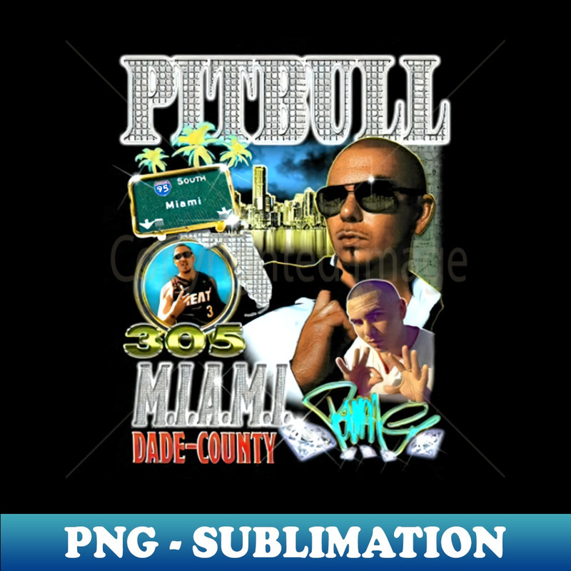 UU-20231025-6113_Pitbull  Mr Worldwide Retro  Mr 305 Pitbull Rap 9476.jpg