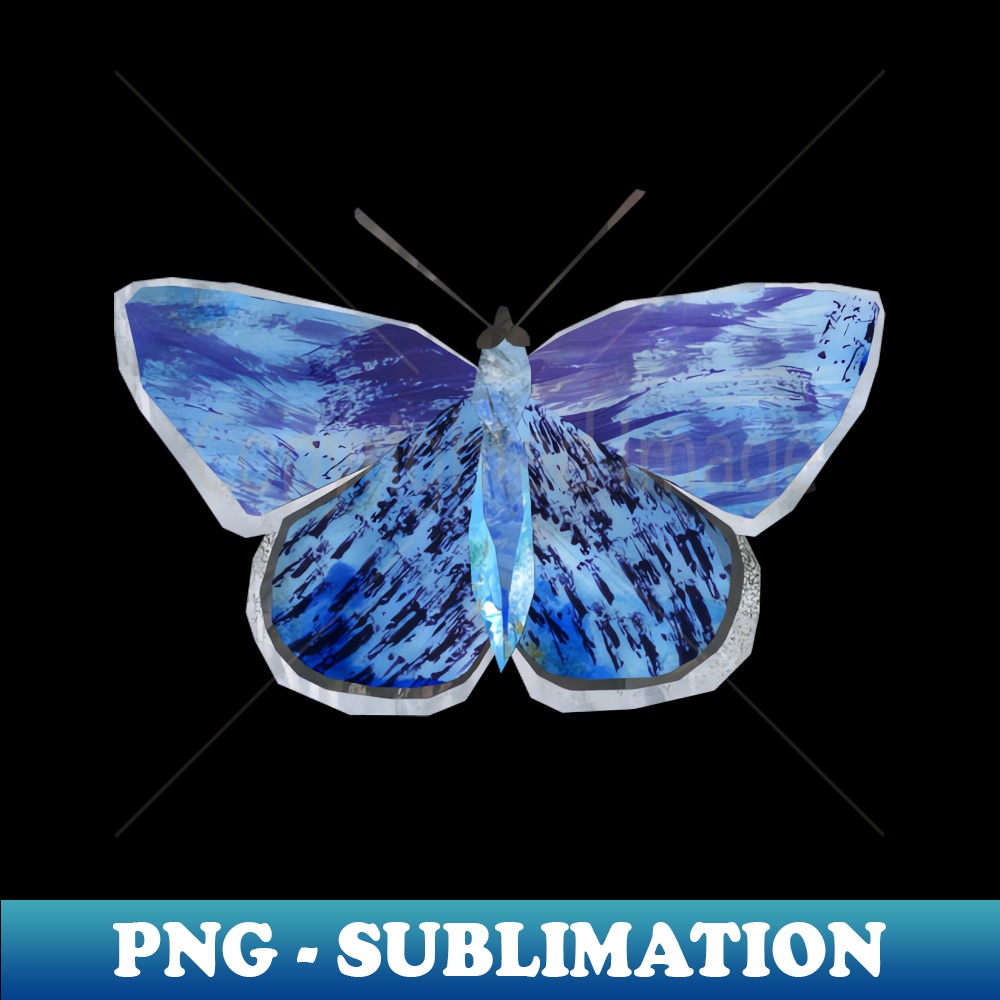 UZ-20231025-1908_Common blue butterfly 5057.jpg