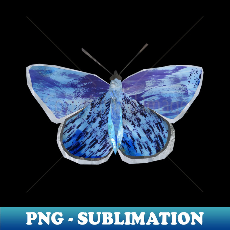 UZ-20231025-1908_Common blue butterfly 5057.jpg