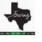 25102023151353-irving-city-svg-texas-svg-texas-clipart-texas-silhouette-image-1.jpg