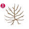 MR-25102023152013-leaf-vein-embroidery-design-leaf-lines-monstera-leaf-image-1.jpg