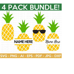pineapple svg bundle, pineapple shirt svg, pineapple monograms, split frame monograms, summer svg, cut file cricut