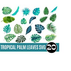tropical palm leaf svg, monstera leaf svg, commercial use svg, jungle leaves clipart, palm branch svg, tropical party decor svg