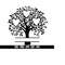 25102023162029-family-tree-svg-3-members-tree-of-life-svg-family-reunion-image-1.jpg