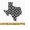 MR-25102023162416-texas-pattern-design-svg-texas-svg-texas-clipart-texas-image-1.jpg