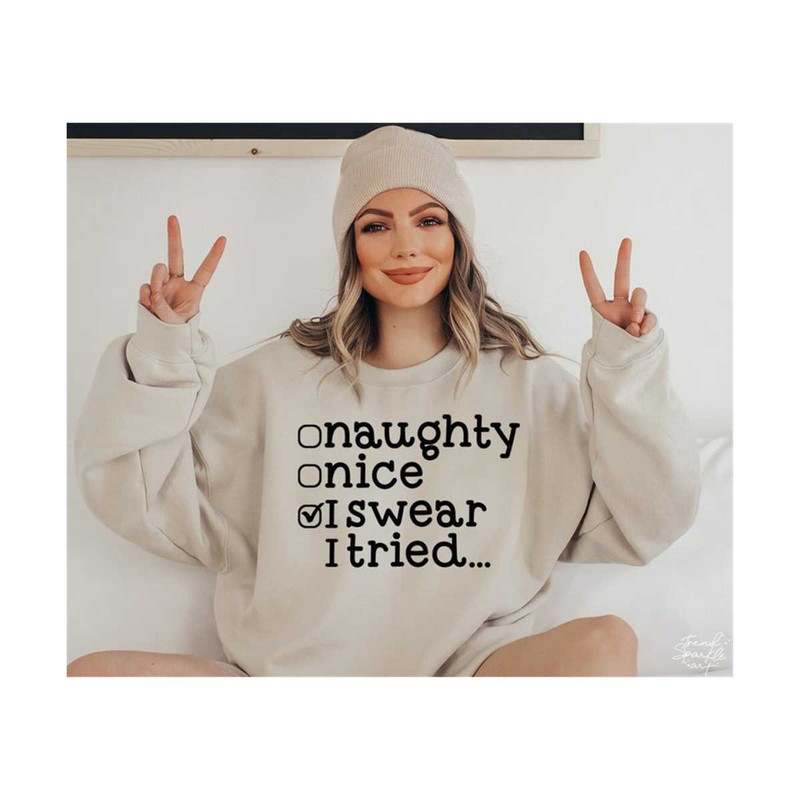 25102023175634-naughty-nice-i-swear-i-tried-svg-png-christmas-svg-funny-image-1.jpg