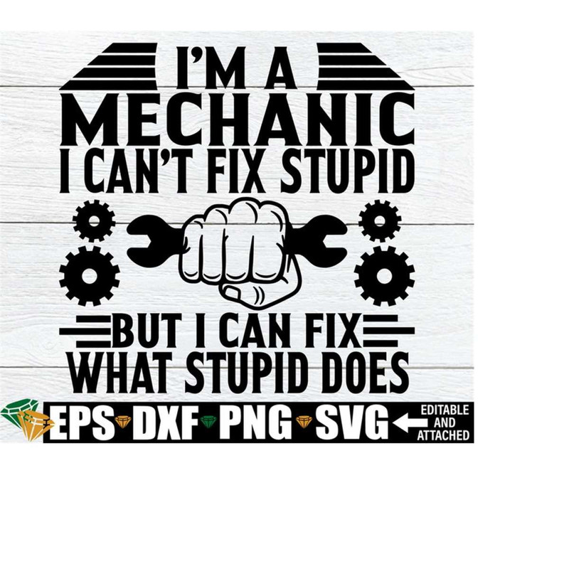 2510202318269-im-a-mechanic-i-cant-fix-stupid-but-i-can-fix-what-image-1.jpg