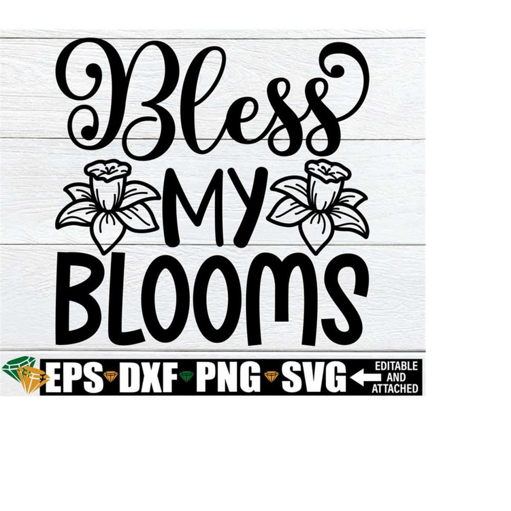 2510202318537-bless-my-blooms-funny-spring-sign-svg-spring-door-sign-svg-image-1.jpg