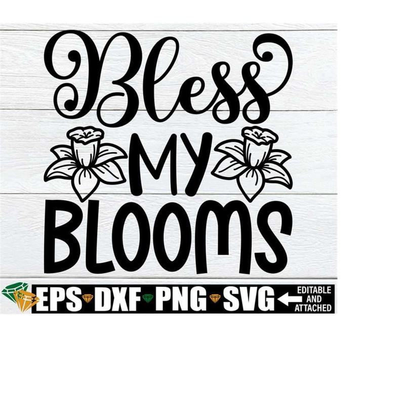 2510202318537-bless-my-blooms-funny-spring-sign-svg-spring-door-sign-svg-image-1.jpg