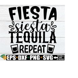 fiesta siesta tequila repeat, cinco de mayo shirt svg, cinco de mayo svg, mexico vacation shirt svg png, cinco de mayo quote svg, fiesta svg