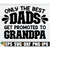 25102023193017-only-the-best-dads-get-promoted-to-grandpa-fathers-day-image-1.jpg