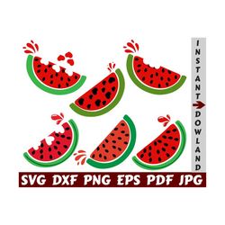 watermelon svg - melon svg - fruit svg - summer fruit svg - watermelon cut file - watermelon clipart - design - watermelon slice svg- shirt