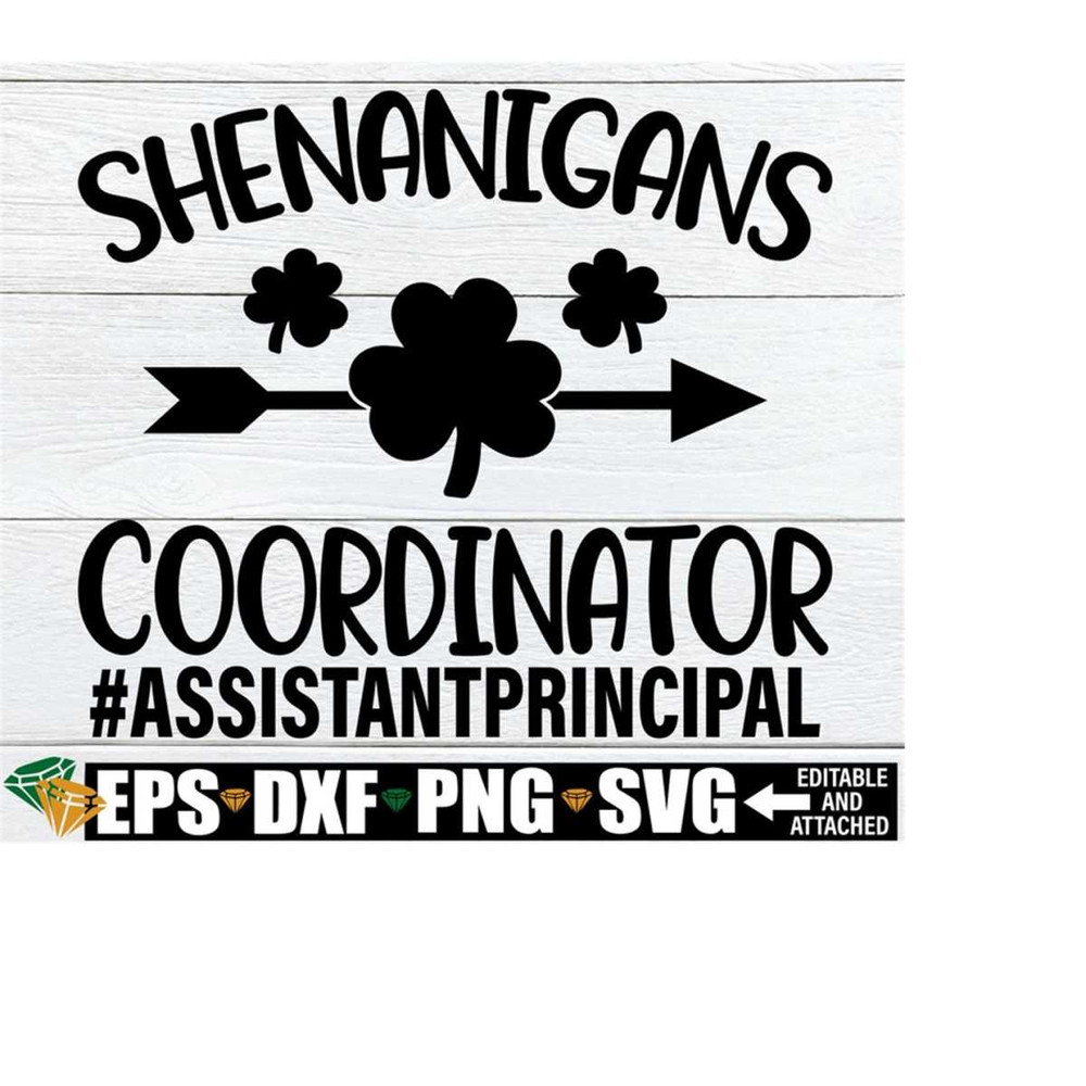 2510202322391-shenanigans-coordinator-assistant-principal-st-patricks-image-1.jpg