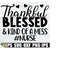 2510202322504-thankful-blessed-and-kind-of-a-mess-thankful-nurse-shirt-svg-image-1.jpg