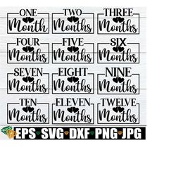 baby monthly milestone markers, monthly milestone svg for baby photos, monthly milestone svg, baby milestone svg, monthly baby milestones