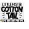 25102023234548-little-mister-cottontail-boys-easter-svg-kids-easter-svg-image-1.jpg