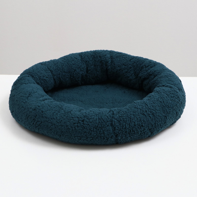 1600 - 2023-10-25T212248.385.jpg