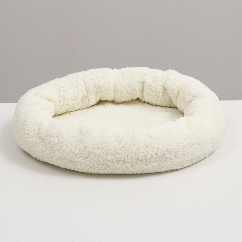 1600 - 2023-10-25T211706.683.jpg