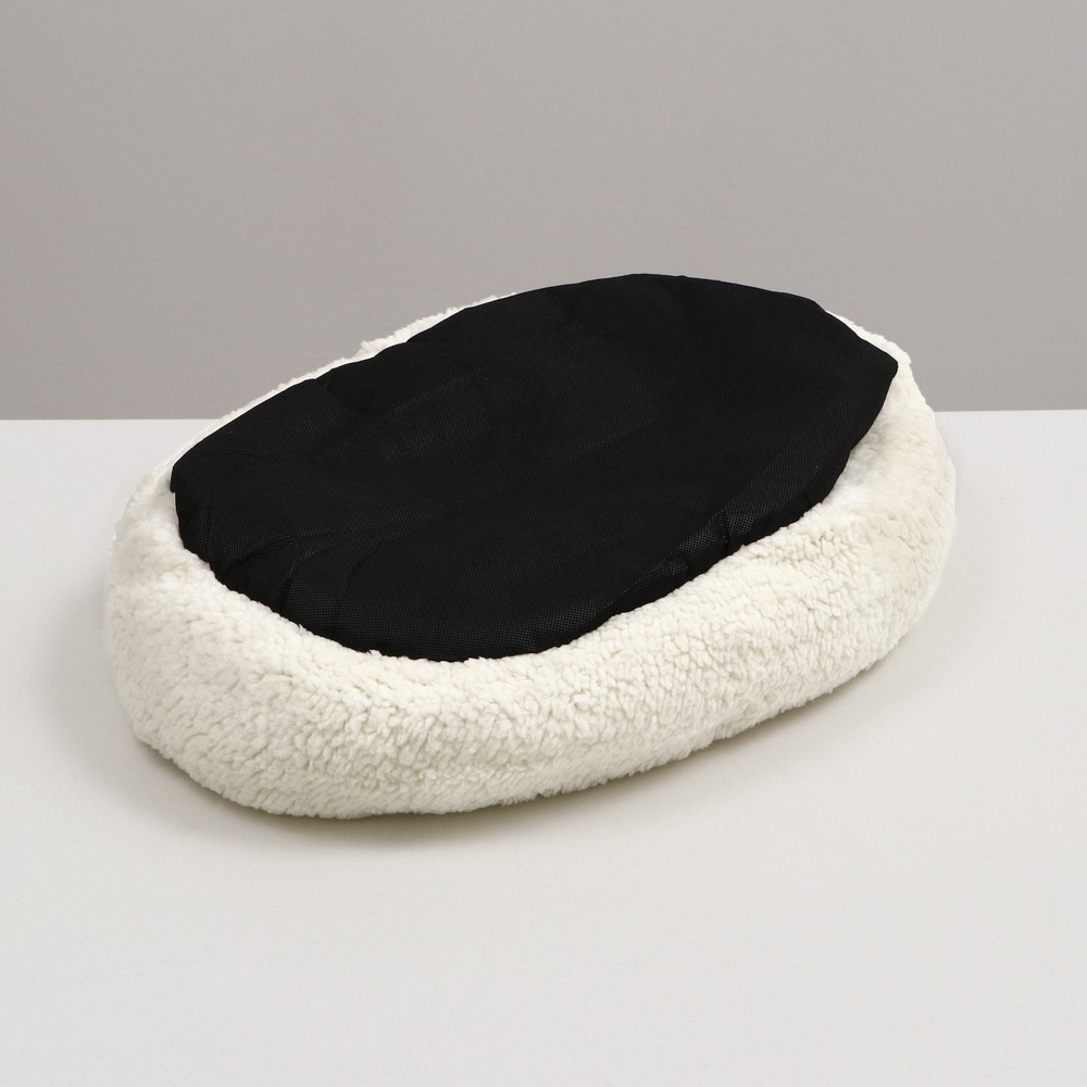 1600 - 2023-10-25T211715.224.jpg