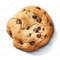 2-watercolor-choc-chip-cookie-clipart-png-transparent-background.jpg