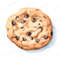 10-single-chocolate-chip-cookie-clipart-png-sweet-baked-treat-dessert.jpg