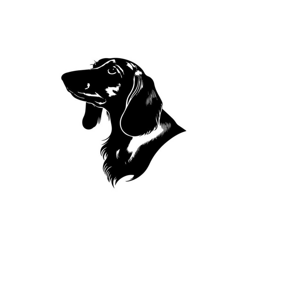 261020238116-dachshund-dog-svg-dachshund-clipart-dachshund-svg-files-for-image-1.jpg