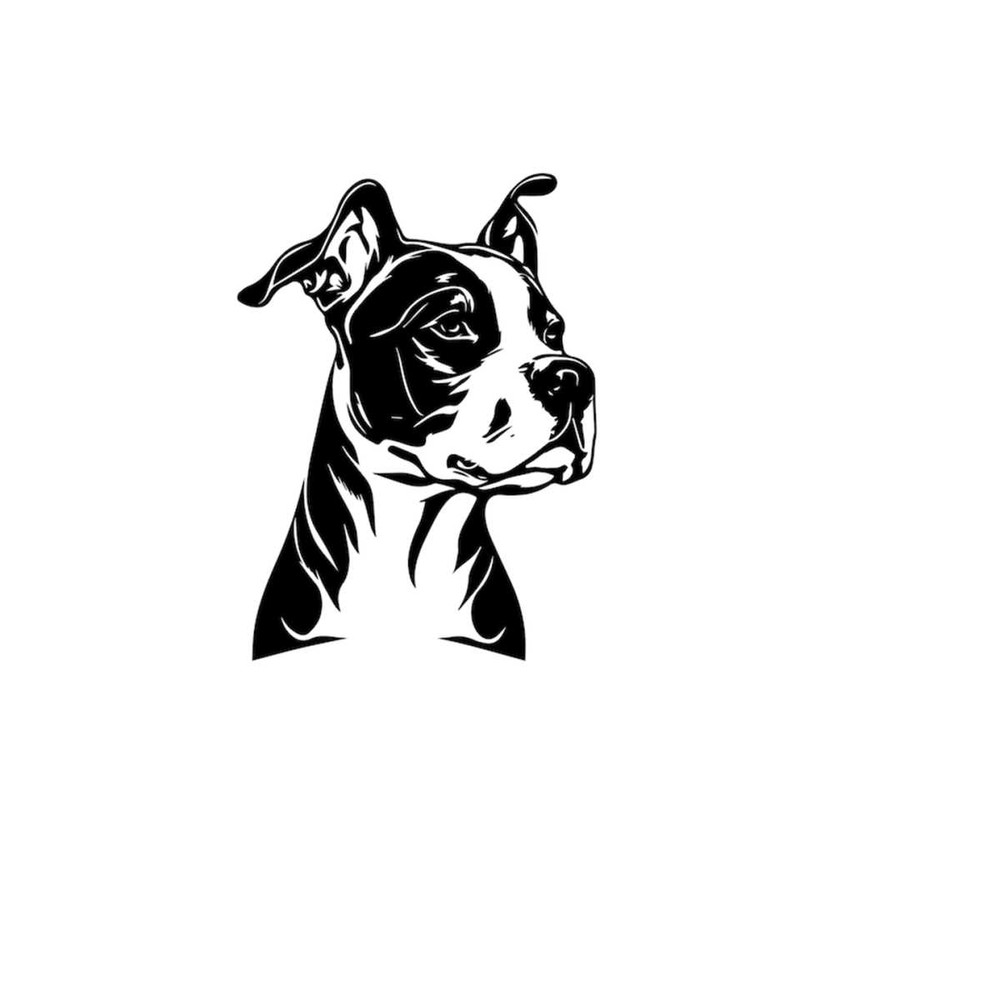 2610202381130-amstaff-svg-amstaff-clipart-amstaff-svg-files-for-cricut-image-1.jpg