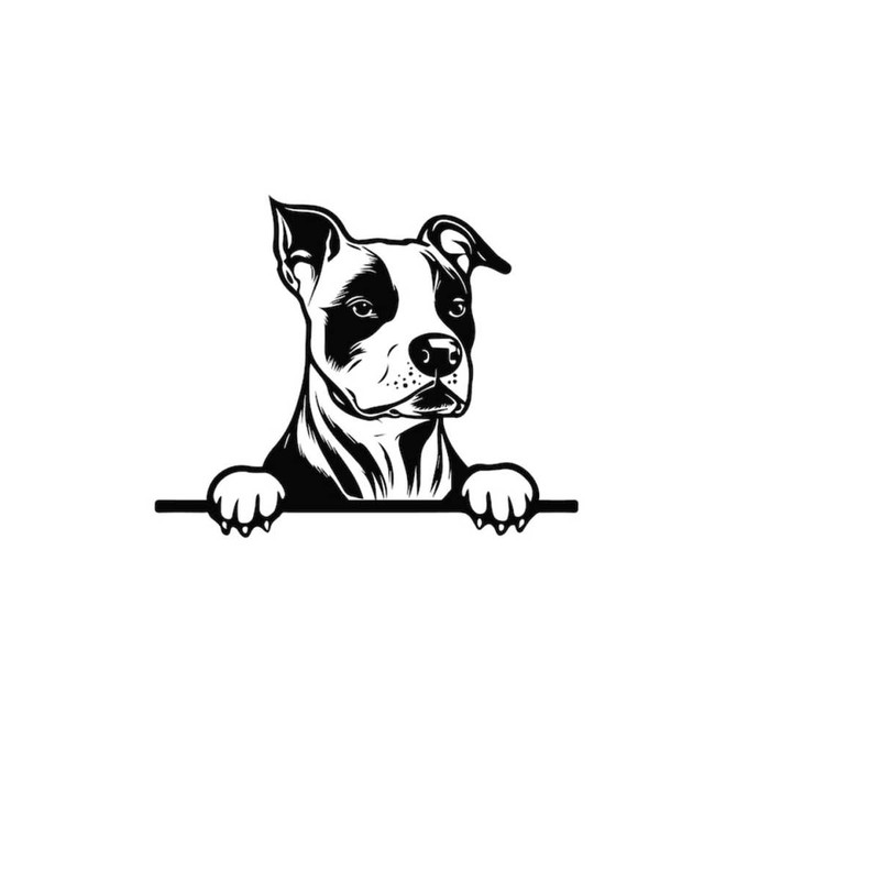 2610202381231-peeking-amstaff-svg-peeking-amstaff-clipart-peeking-amstaff-image-1.jpg