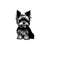 2610202381311-yorkshire-terrier-svg-yorkshire-terrier-clipart-yorkshire-image-1.jpg