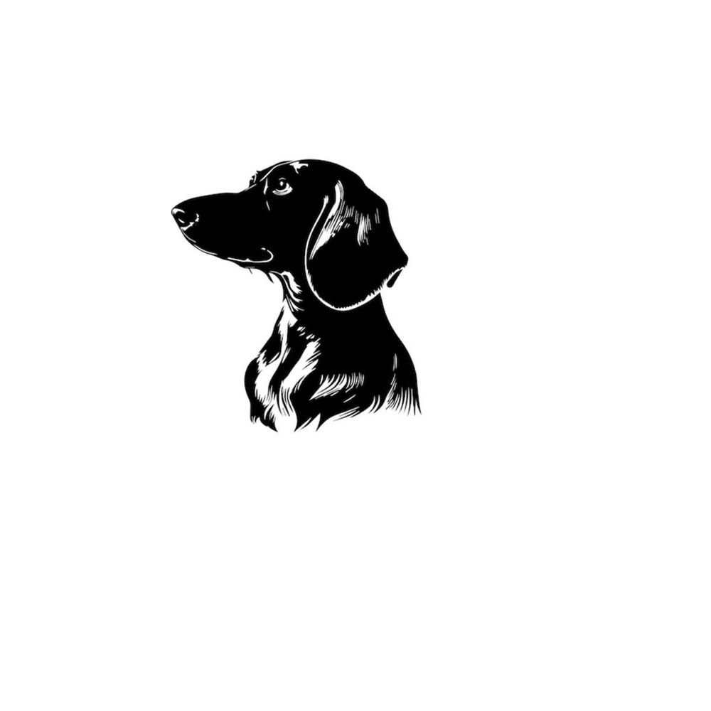 2610202381340-dachshund-dog-svg-dachshund-clipart-dachshund-svg-files-for-image-1.jpg