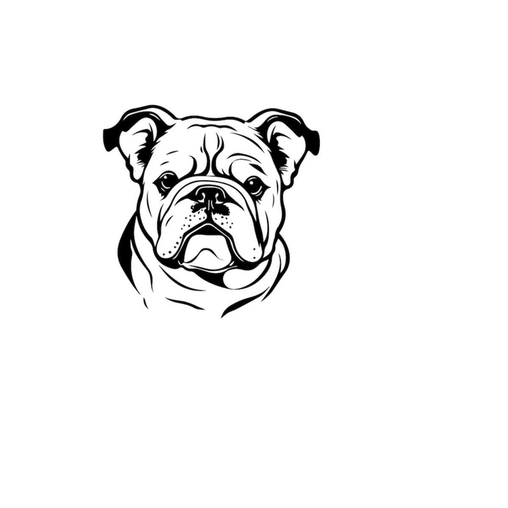 261020238146-bulldog-svg-bulldog-clipart-bulldog-svg-files-for-cricut-image-1.jpg