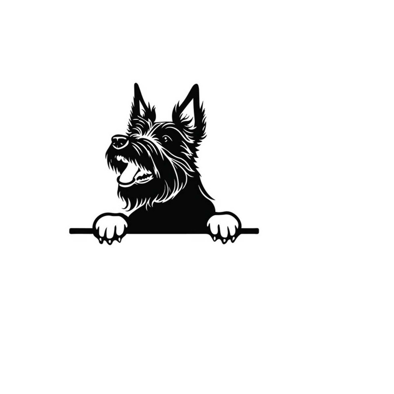 261020238161-peeking-scottish-terrier-svg-peeking-scottish-terrier-image-1.jpg