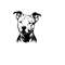 2610202381623-pitbull-svg-pitbull-clipart-pitbull-svg-files-for-cricut-image-1.jpg