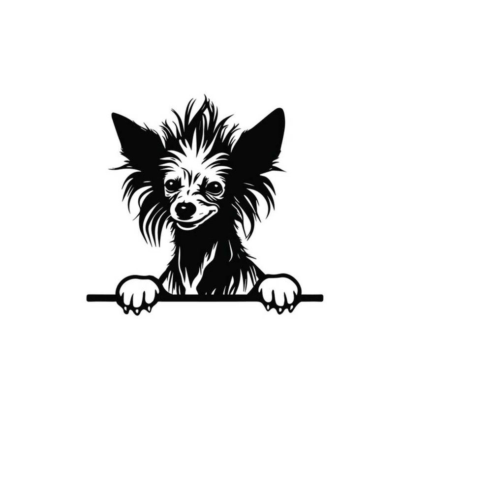 261020238189-peeking-chinese-crested-svg-peeking-chinese-crested-clipart-image-1.jpg