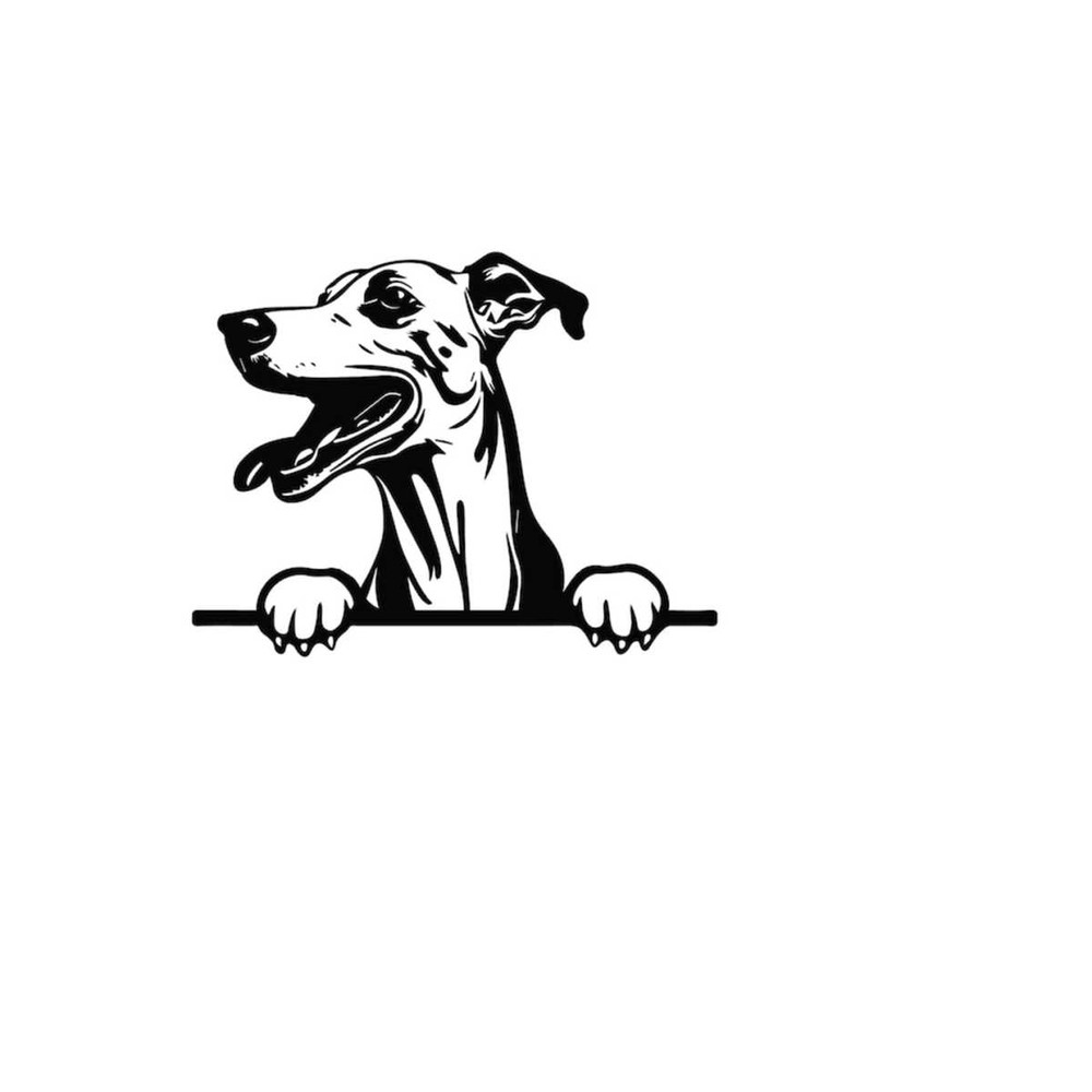 2610202382046-peeking-whippet-svg-peeking-whippet-clipart-peeking-whippet-image-1.jpg